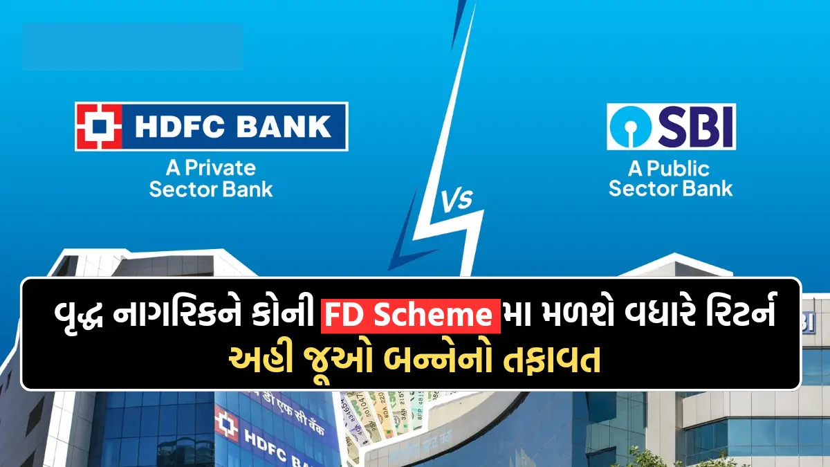 HDFC Bank vs SBI: વૃદ્ધ નાગરિકને કોની FD Scheme મા મળશે વધારે રિટર્ન, અહી જૂઓ બન્નેનો તફાવત